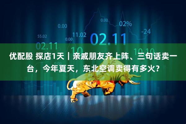 优配股 探店1天｜亲戚朋友齐上阵、三句话卖一台，今年夏天，东北空调卖得有多火？