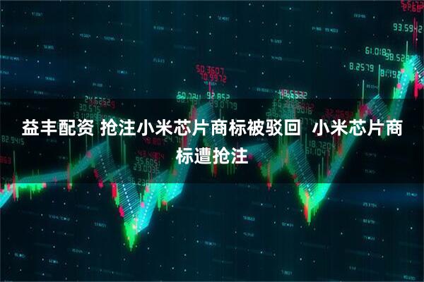 益丰配资 抢注小米芯片商标被驳回  小米芯片商标遭抢注